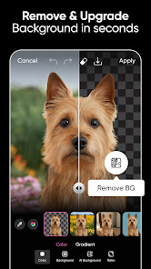 Picsart background remover screenshot for course creator visuals
